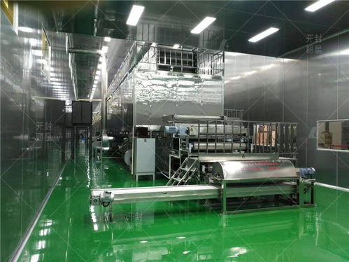 自動(dòng)化粉條加工廠廠房及車間的核心生產(chǎn)條件解析